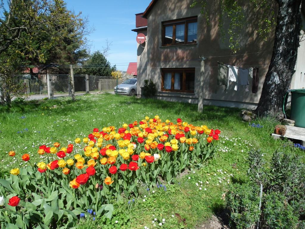 Ferienwohnung Wawrok Pirna Exteriér fotografie