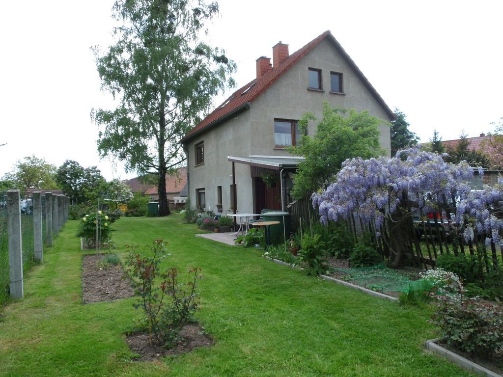 Ferienwohnung Wawrok Pirna Exteriér fotografie